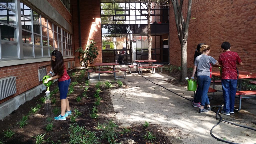 St Elizabeth Of Hungary Catholic School Monarch Butterfly Rescue